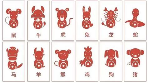 五行代表動物|生肖纪年